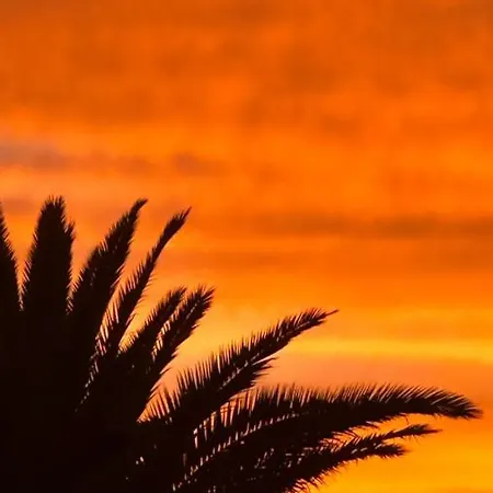 Ocean View With Large Terrace And Netflix Smart Tv * Costa Adeje (Tenerife)