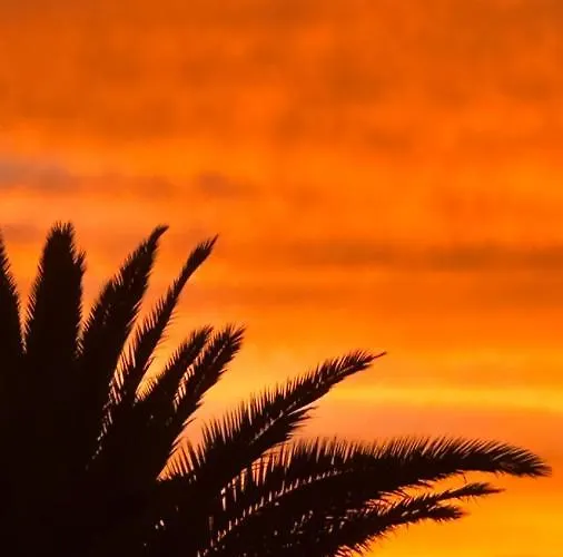 Ocean View With Large Terrace And Netflix Smart Tv * Costa Adeje (Tenerife)